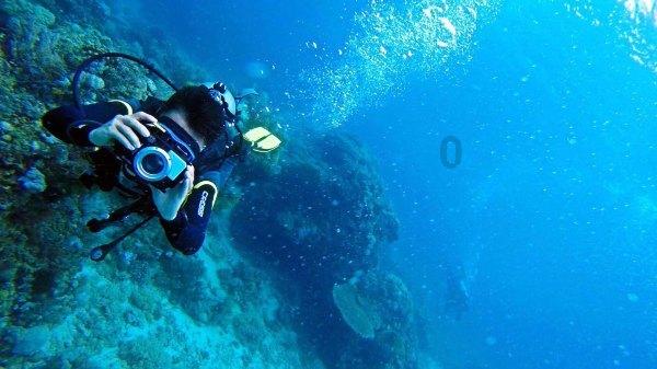 官方彻查大量河南初中生转入大庆